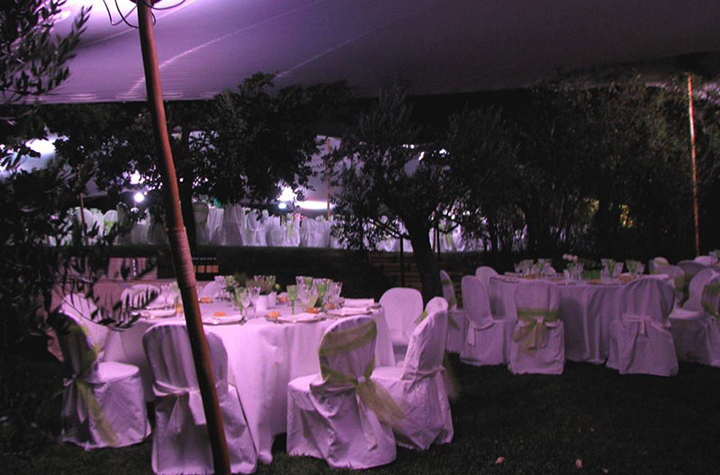 matrimonio7